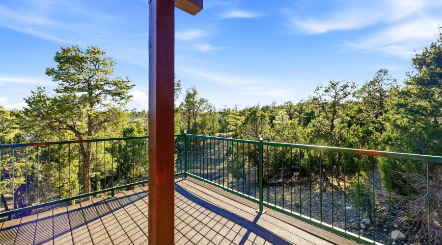 1789WildTurkeyLn-Heber-AZ-5