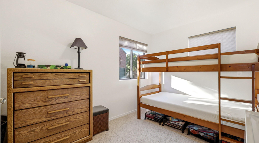 1789WildTurkeyLn-Heber-AZ-8