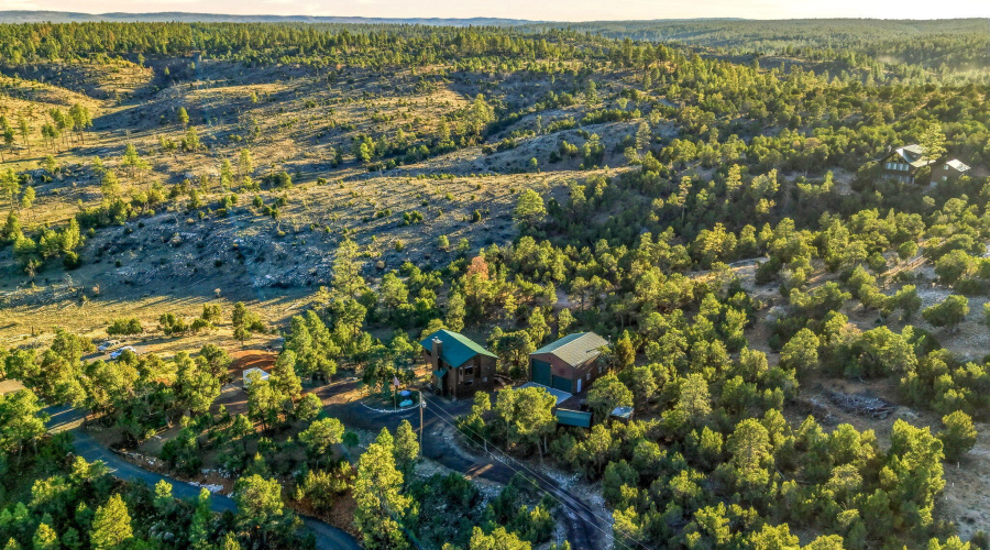 1789WildTurkeyLn-Heber-AZ-30