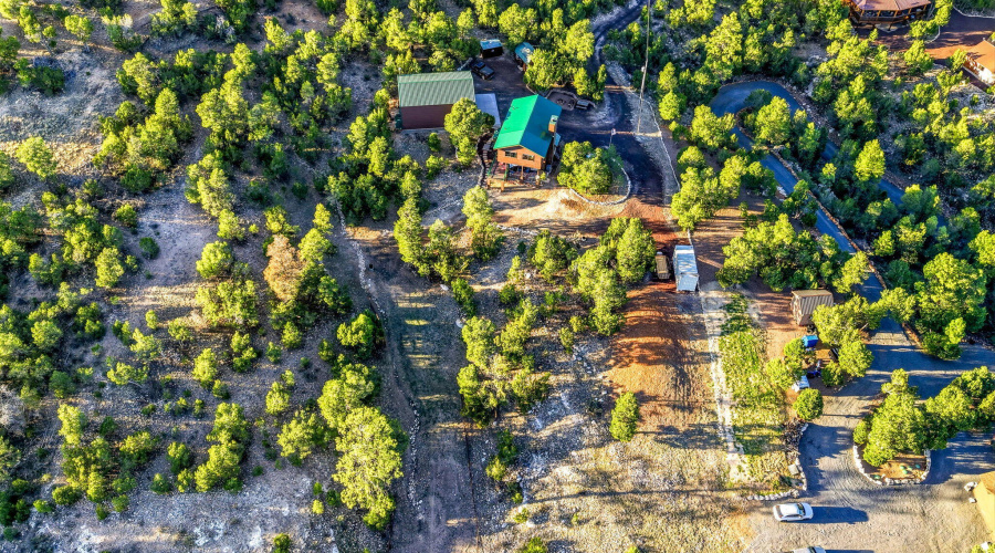 1789WildTurkeyLn-Heber-AZ-33