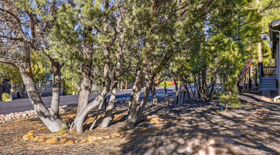 2041HaciendaWay-ShowLow-AZ-6