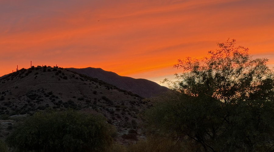 sunset
