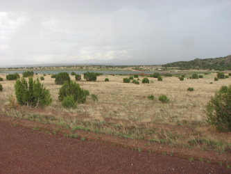 21 & 23 County Road 8001, Concho, Arizona 85924, ,Land,For Sale,County Road 8001,87164