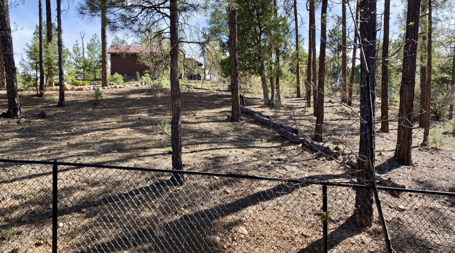 View from Back Deck