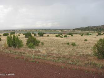 21 & 23 County Road, Concho, Arizona 85924, ,Land,For Sale,County,247133