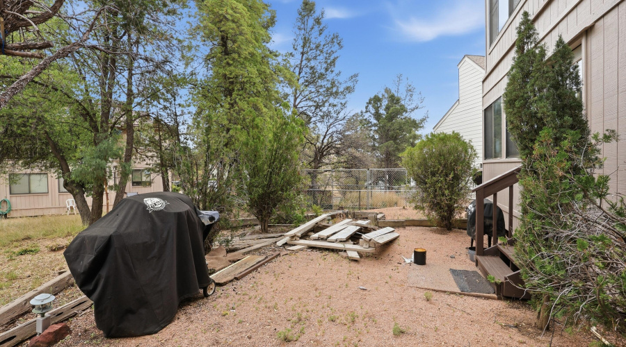 Back Yard Area