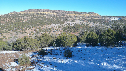 TBD Concho 40ac, Concho, Arizona 85924, ,Land,For Sale,Concho 40ac,259124