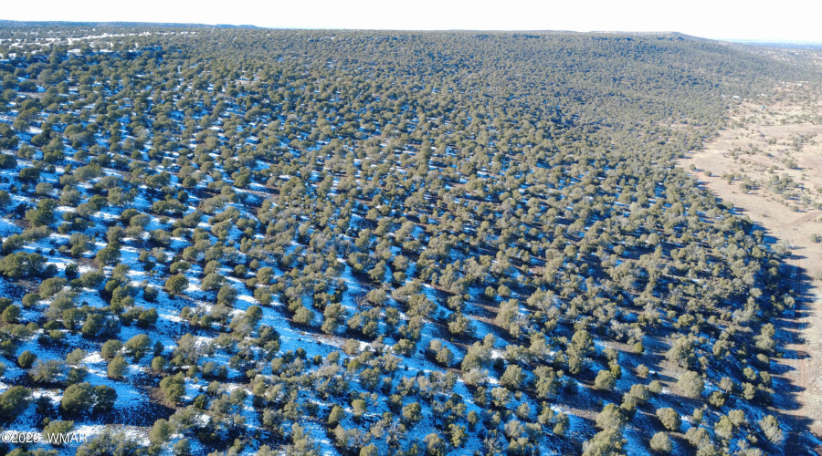 DJI_0357