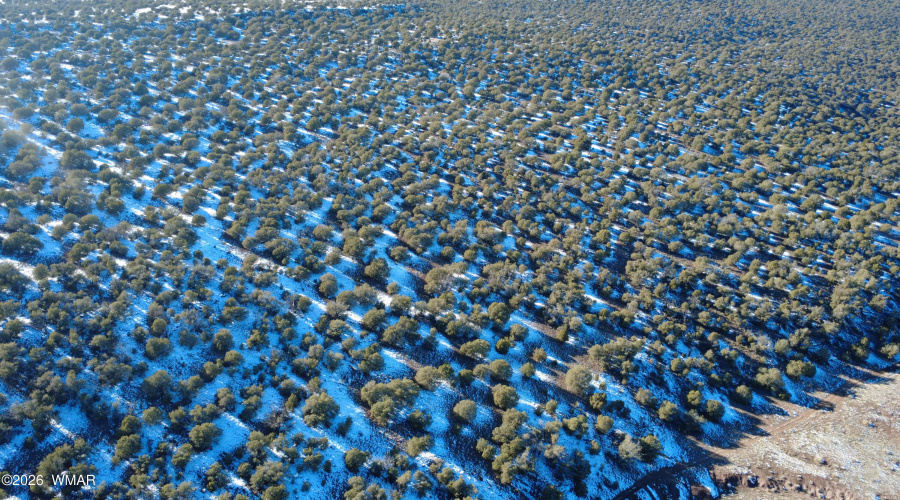 DJI_0358