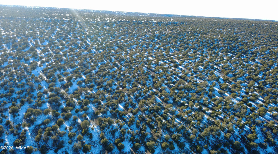 DJI_0359
