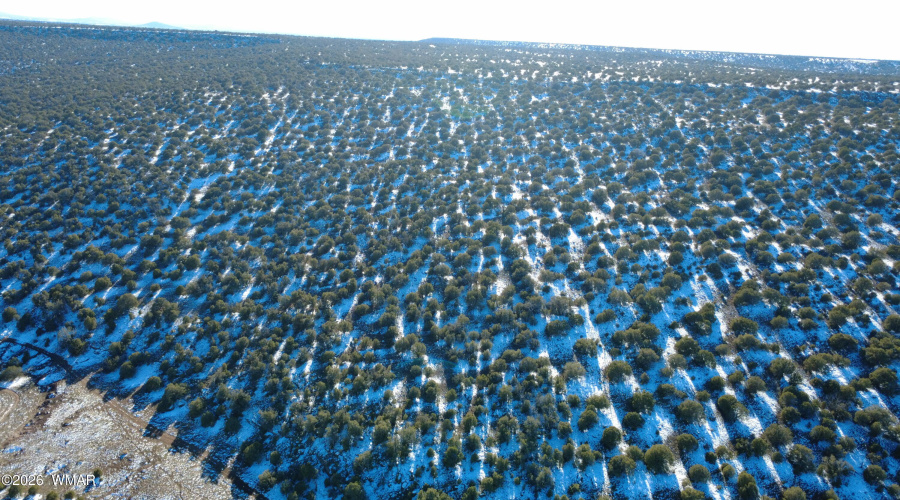 DJI_0360