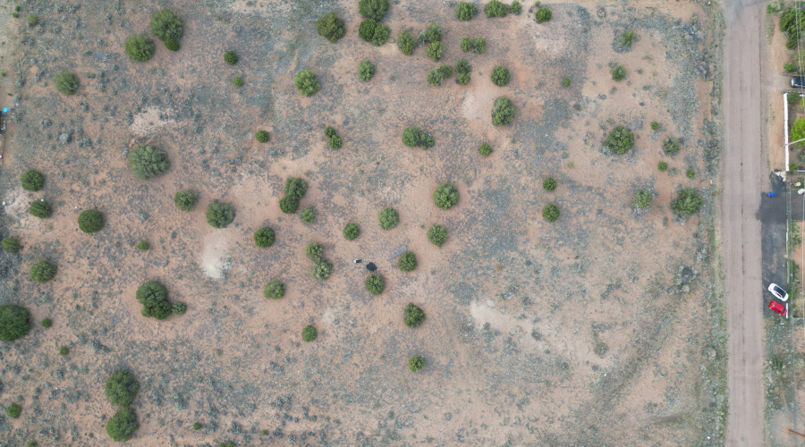 DJI_0494