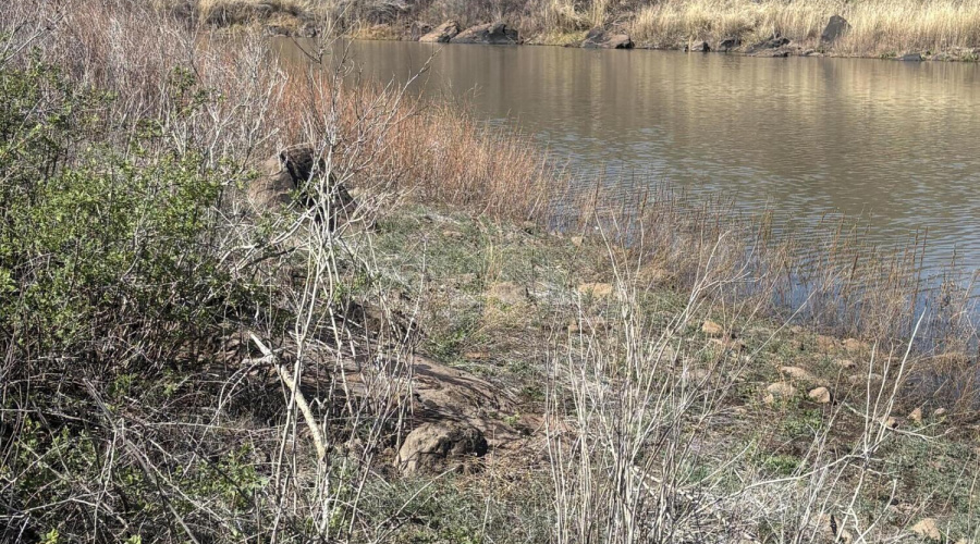 Private Fishing Spot