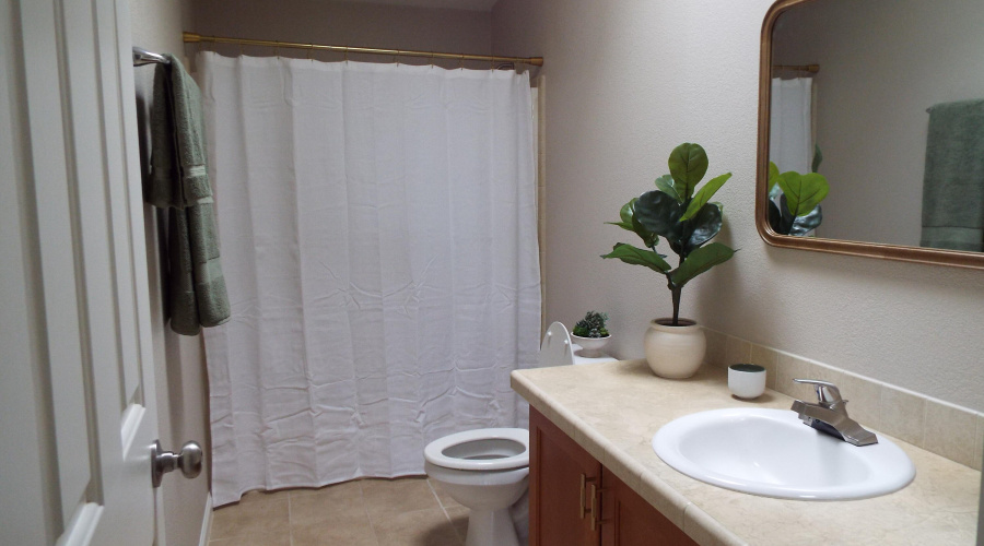 Hall bath
