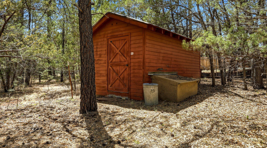 2366CedarAve-Lakeside-AZ-23