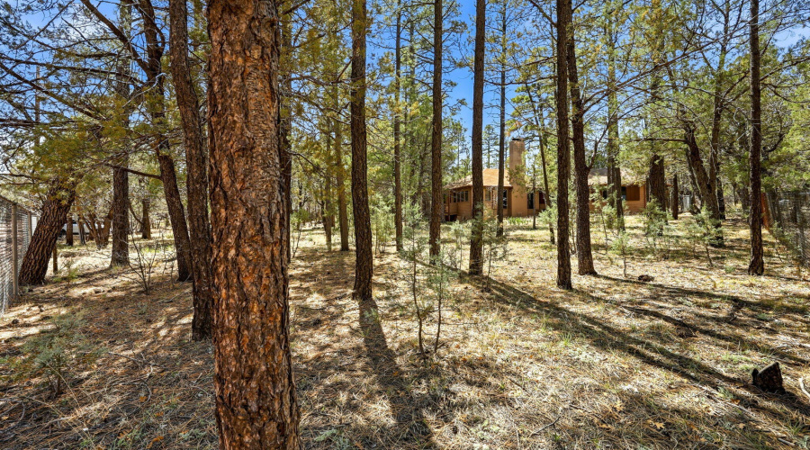 2366CedarAve-Lakeside-AZ-26
