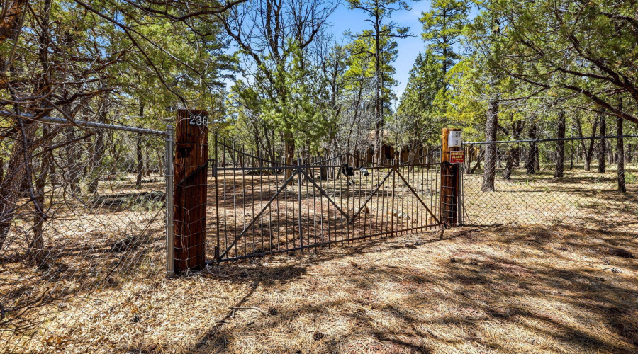 2366CedarAve-Lakeside-AZ-27