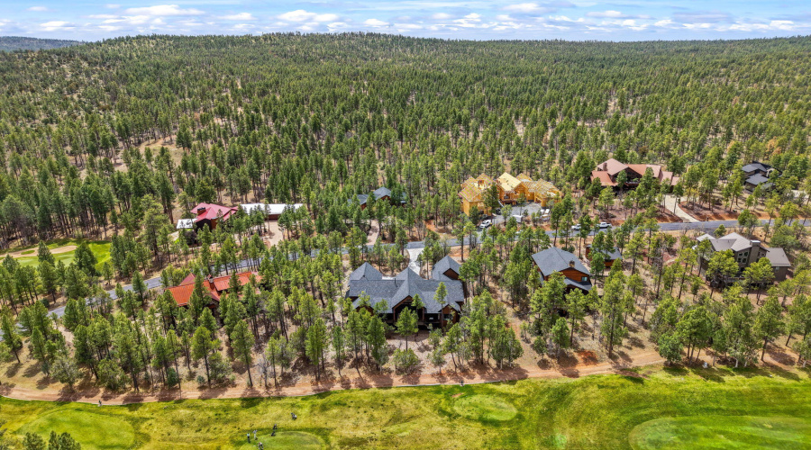 2441SMonkshoodRd-ShowLow-AZ-90