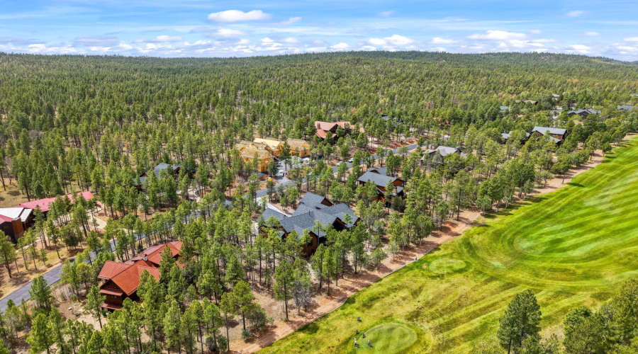 2441SMonkshoodRd-ShowLow-AZ-91