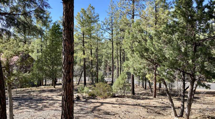 Adjacent Lot