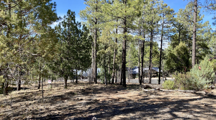 Adjacent Lot