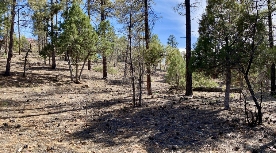 Adjacent Lot