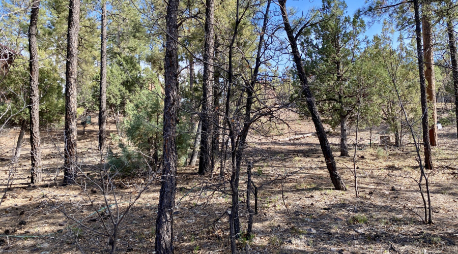 Adjacent Lot