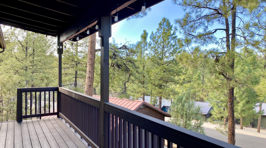 Panoramic Views