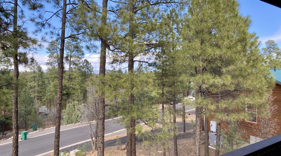 Panoramic Views