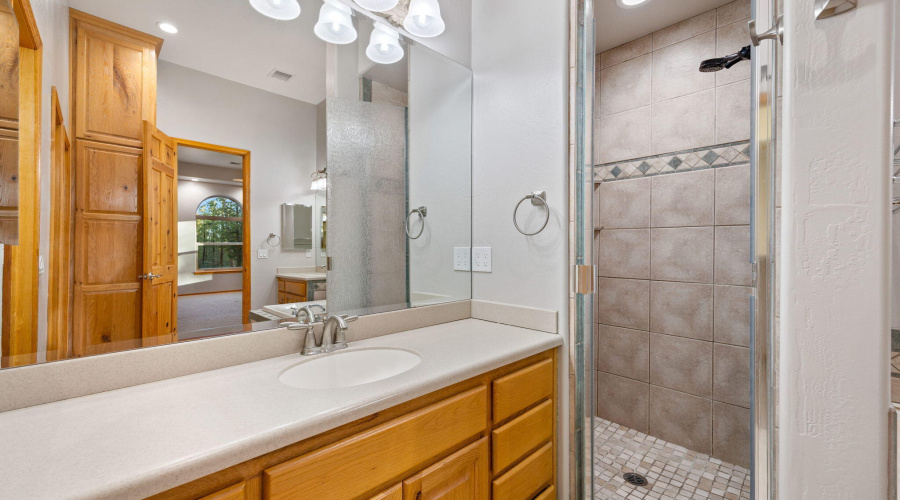 Primary Shower