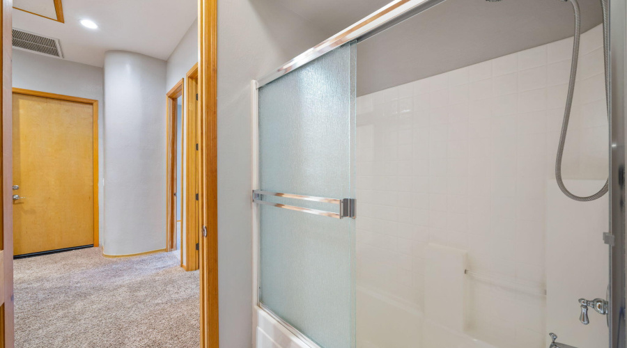Guest Shower