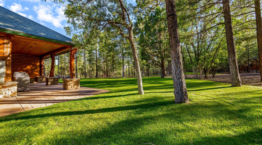 Patio Lawn Space