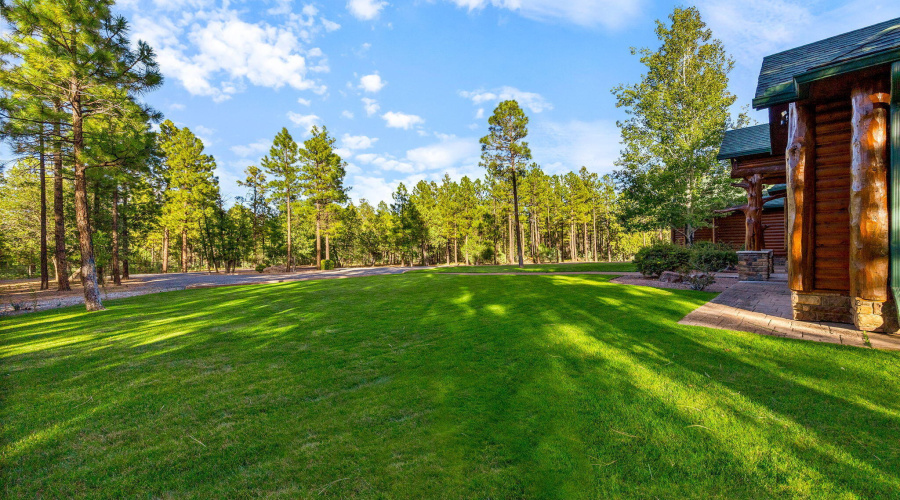 Gorgeous Lawn