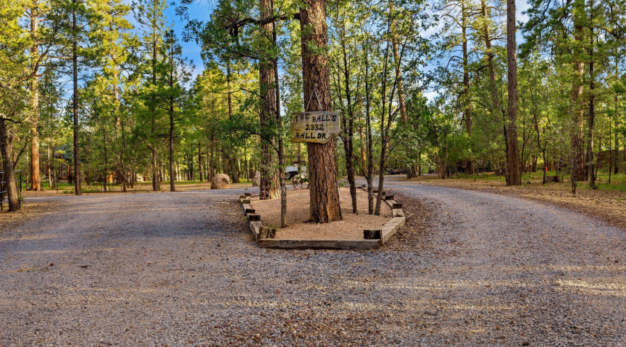 Split Driveway