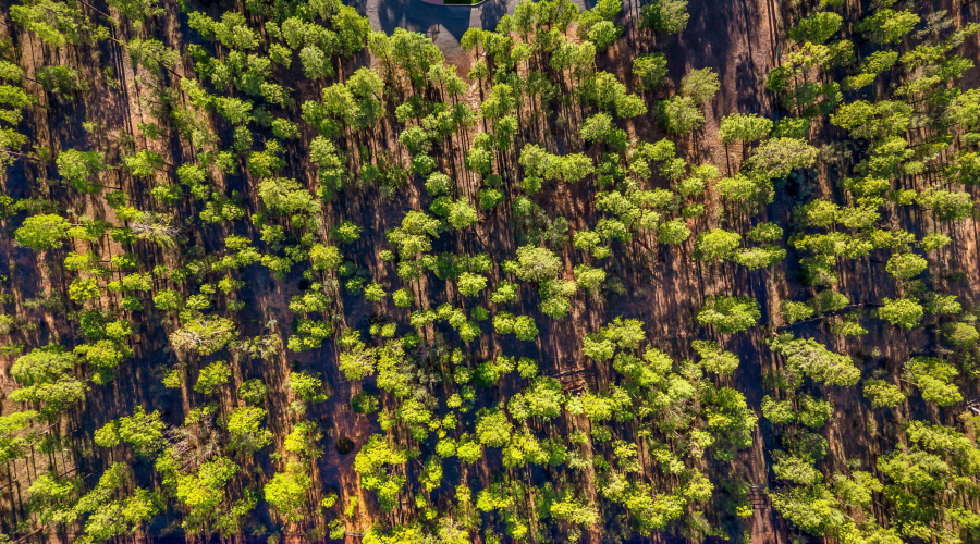 Drone Property
