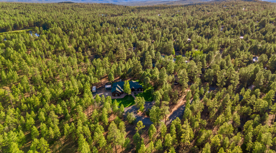Drone Trees