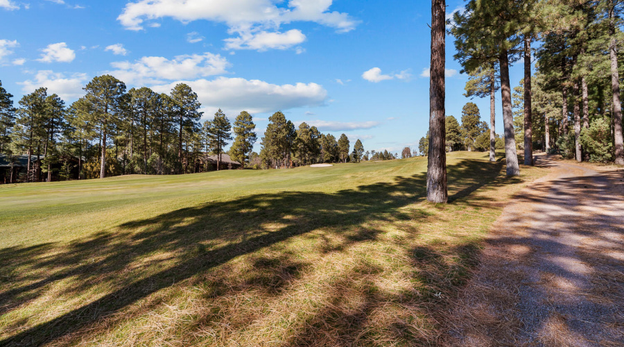 Golf Torreon