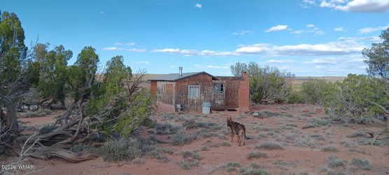 139 Dragon Drive, Show Low, Arizona 85901, ,Land,For Sale,Dragon,260616