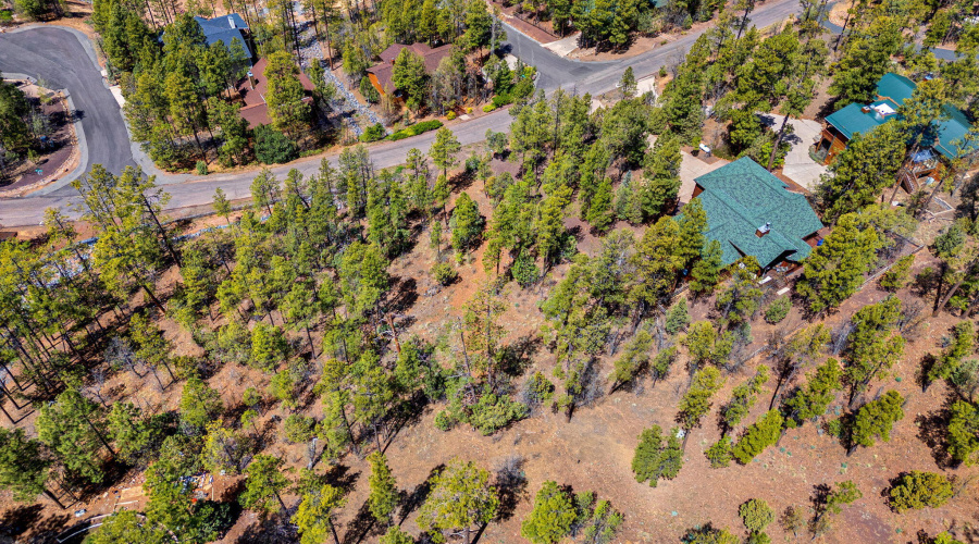 2501 Pine Wood Ln
