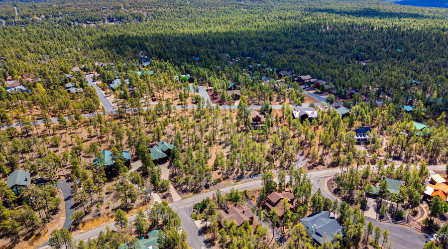 Community View