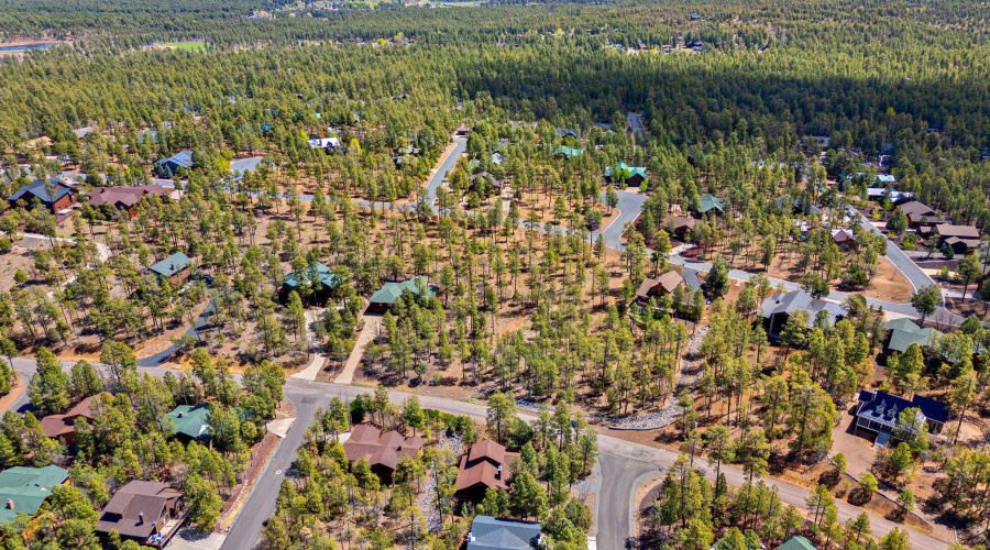 Community View