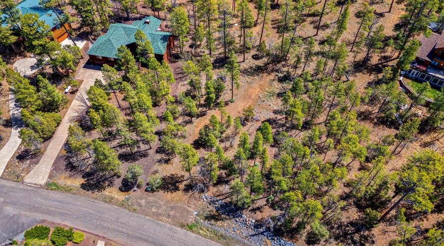 2501 Pine Wood Ln