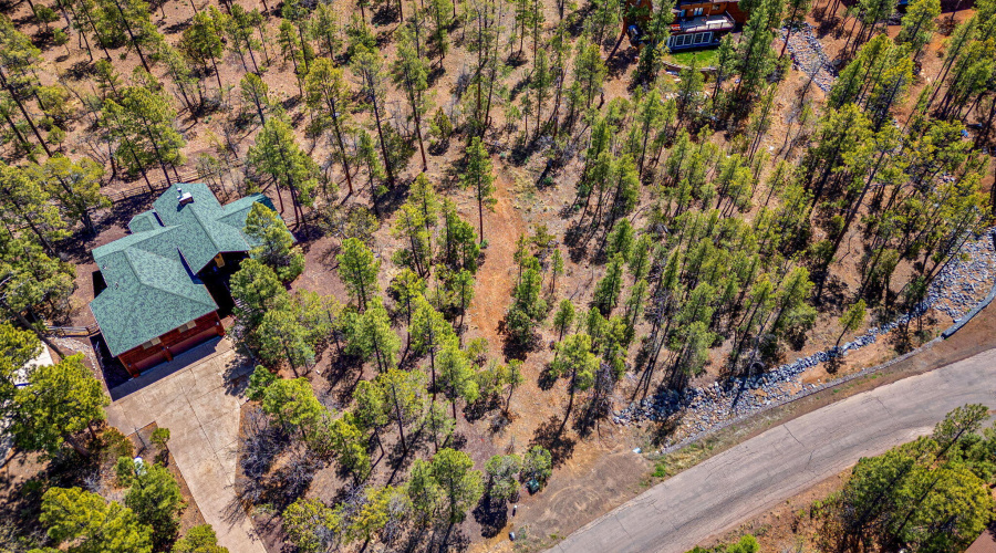 2501 Pine Wood Ln