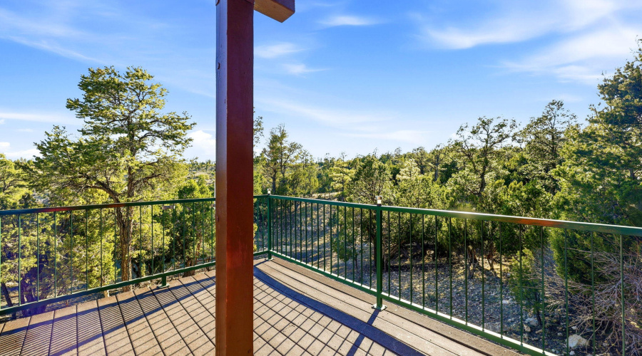 1789WildTurkeyLn-Heber-AZ-5