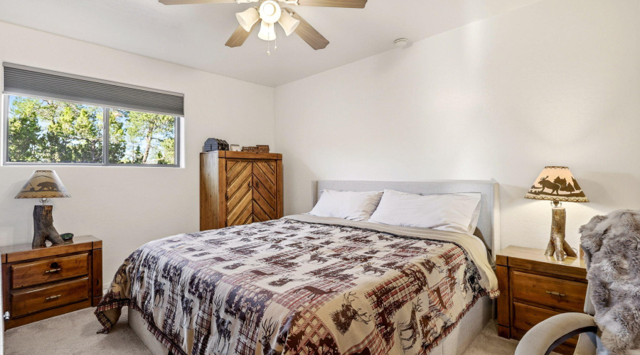 1789WildTurkeyLn-Heber-AZ-12