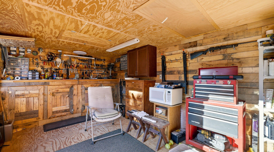 1789WildTurkeyLn-Heber-AZ-28