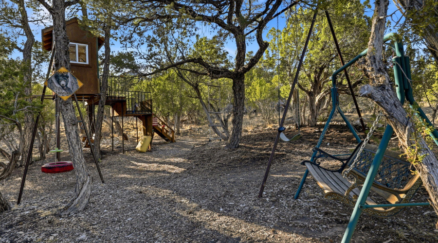 1789WildTurkeyLn-Heber-AZ-29