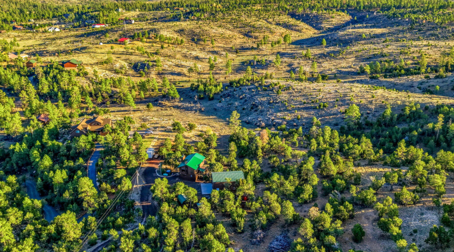 1789WildTurkeyLn-Heber-AZ-31