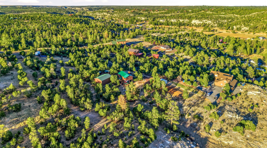 1789WildTurkeyLn-Heber-AZ-34