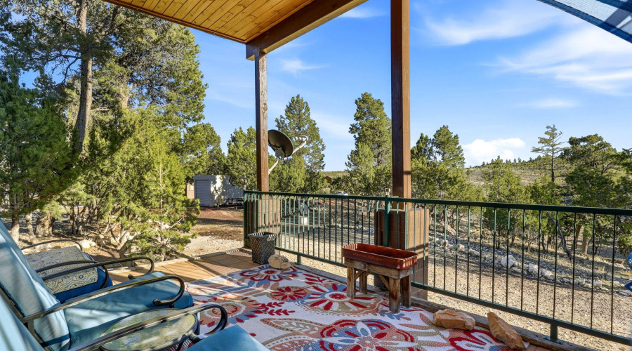 1789WildTurkeyLn-Heber-AZ-4
